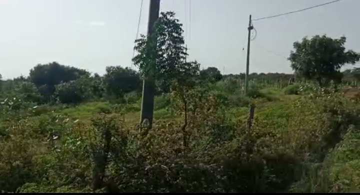 25 Acre Agricultural/Farm Land for Sale in Chincholi, Gulbarga