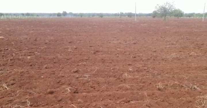 12 Acre Agricultural/Farm Land for Sale in Kohir, Medak