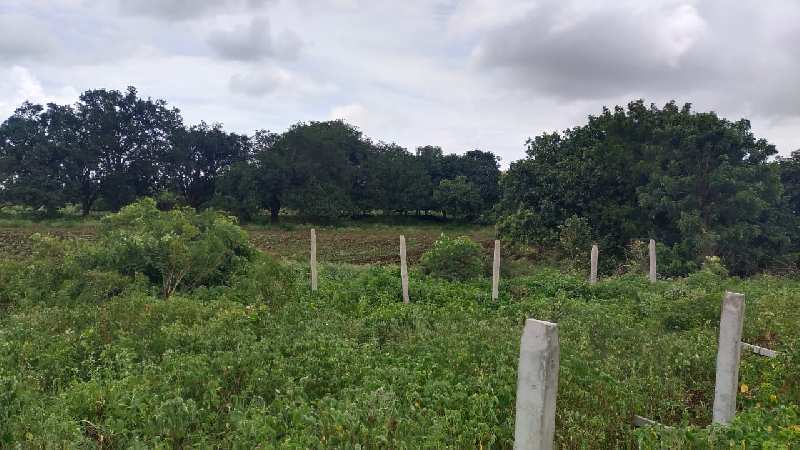 7.16 Acre Agricultural/Farm Land for Sale in Marpally Mandal, Rangareddy