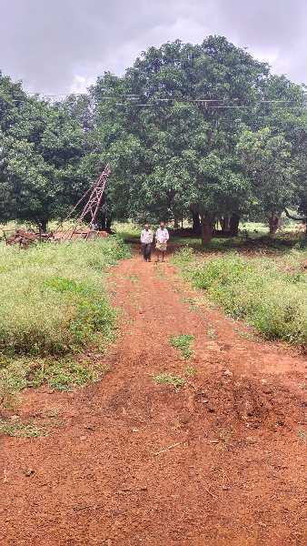 7.16 Acre Agricultural/Farm Land for Sale in Marpally Mandal, Rangareddy