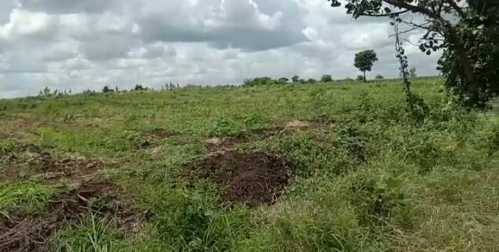 4 Acre Agricultural/Farm Land for Sale in Mominpet Mandal, Vikarabad