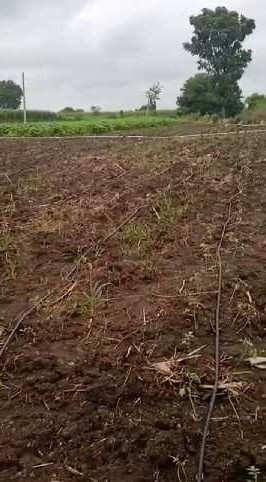 2.18 Acre Agricultural/Farm Land for Sale in Rangareddy