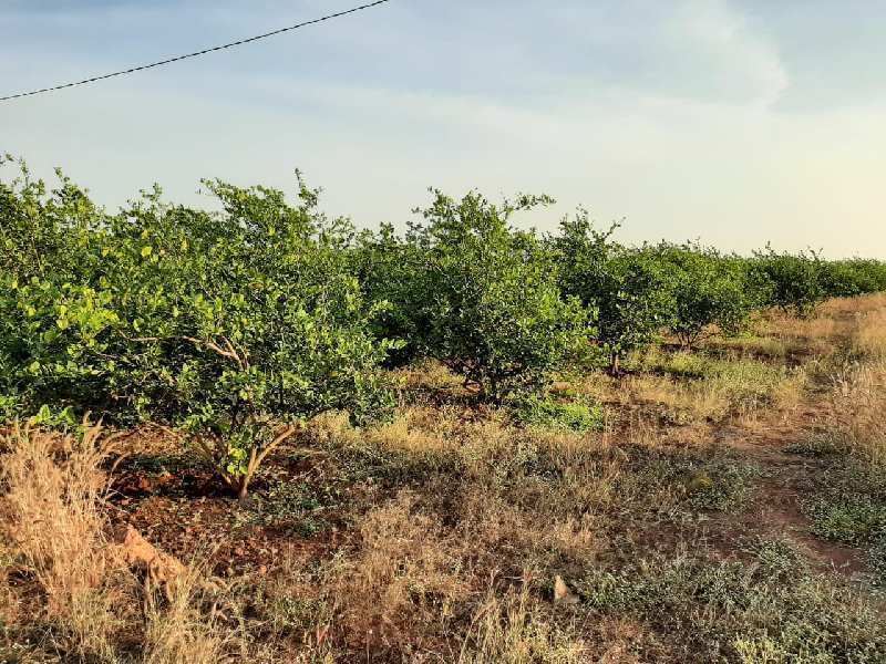 72 Acre Agricultural/Farm Land for Sale in Kohir, Medak