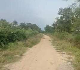 7 Acre Agricultural/Farm Land for Sale in Rangareddy