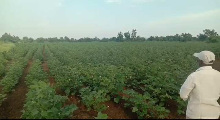 7 Acre Agricultural/Farm Land for Sale in Rangareddy