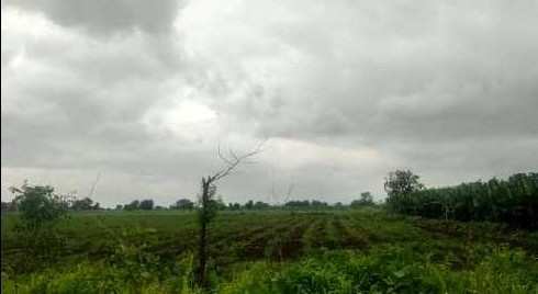 18 Acre Agricultural/Farm Land for Sale in Chincholi, Gulbarga