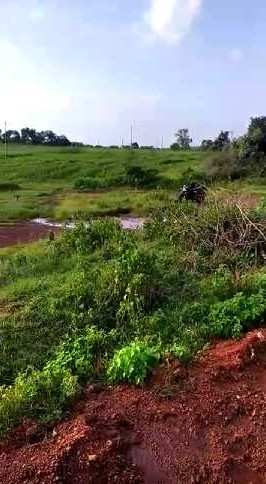 100 Acre Agricultural/Farm Land for Sale in Bhalki, Bidar
