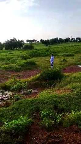 100 Acre Agricultural/Farm Land for Sale in Bhalki, Bidar