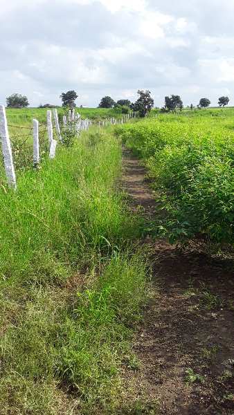9.23 Acre Agricultural/Farm Land for Sale in Vikarabad