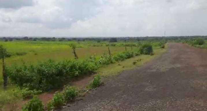 120 Acre Agricultural/Farm Land for Sale in Bhalki, Bidar