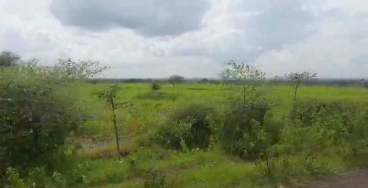 120 Acre Agricultural/Farm Land for Sale in Bhalki, Bidar