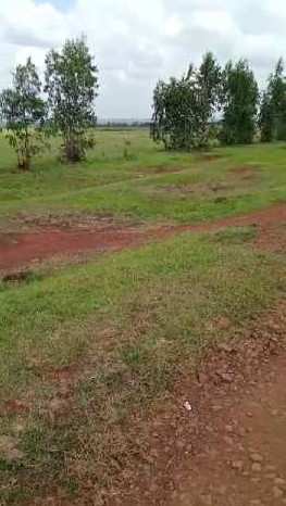 100 Acre Agricultural/Farm Land for Sale in Mannaekhelli, Bidar