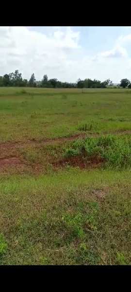 29 Acre Agricultural/Farm Land for Sale in Basavakalyan, Bidar