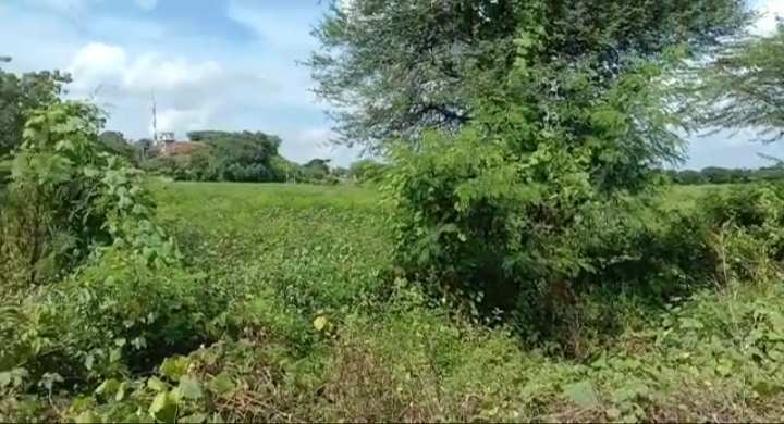 2.5 Acre Agricultural/Farm Land for Sale in Mominpet Mandal, Vikarabad