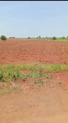 55 Acre Agricultural/Farm Land for Sale in Karnataka