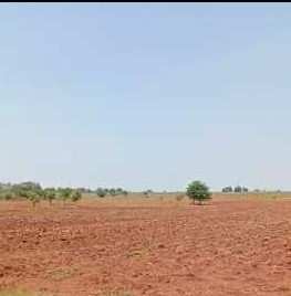 55 Acre Agricultural/Farm Land for Sale in Karnataka