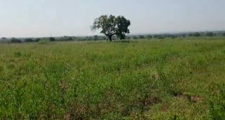 175 Acre Agricultural/Farm Land for Sale in Chincholi, Gulbarga