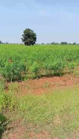 8.5 Acre Agricultural/Farm Land for Sale in Homnabad, Bidar