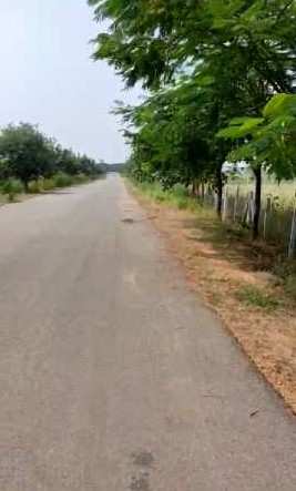 4 Acre Agricultural/Farm Land for Sale in Kondapur Mandal, Medak
