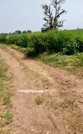 1 Acre Agricultural/Farm Land for Sale in Kondapur Mandal, Medak