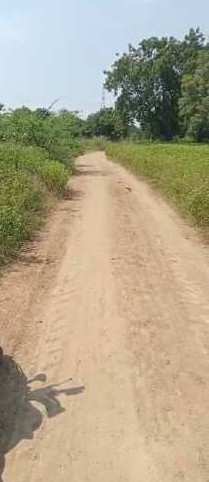 1 Acre Agricultural/Farm Land for Sale in Kandi, Sangareddy