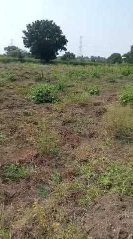 1 Acre Agricultural/Farm Land for Sale in Kandi, Sangareddy