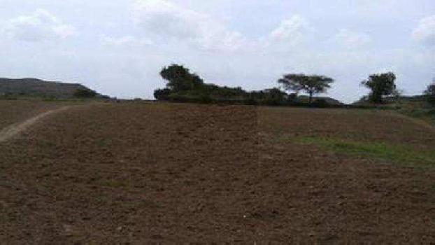 1 Acre Agricultural/Farm Land for Sale in Sihora, Jabalpur (168 Acre)