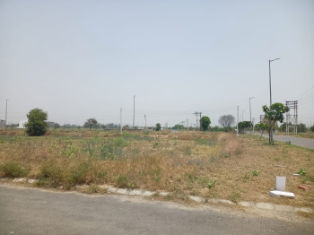 Residential Plot for Sale in Sector 27, Sonipat (365 Sq. Yards)