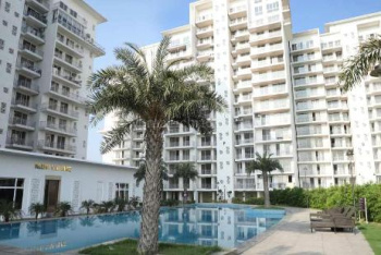 Residential Plot for Sale in Sector 27, Sonipat (1800 Sq.ft.)