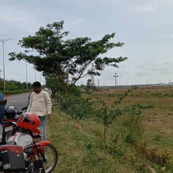 15 Acre Industrial Land / Plot for Sale in Paradip, Jagatsinghapur