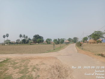 500 Acre Industrial Land / Plot for Sale in Dhamra, Bhadrak
