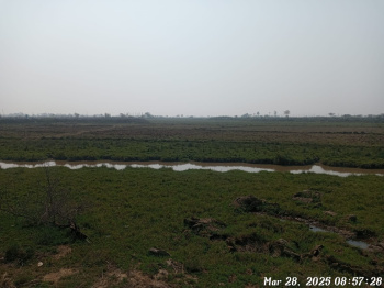 Property for sale in Dhamra, Bhadrak