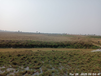 Property for sale in Dhamra, Bhadrak