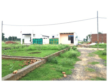100 Sq. Yards Residential Plot for Sale in Naveen Palace, Jharoda Kalan, Delhi