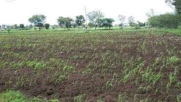 Farm Land for Sale At Aurangabad