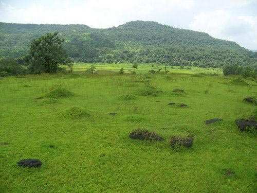 Residential Land / Plot for Sale at Wagholi, Pune