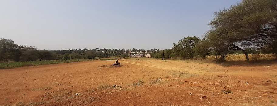 1500 Sq.ft. Residential Plot for Sale in Gamanagatti, Hubli