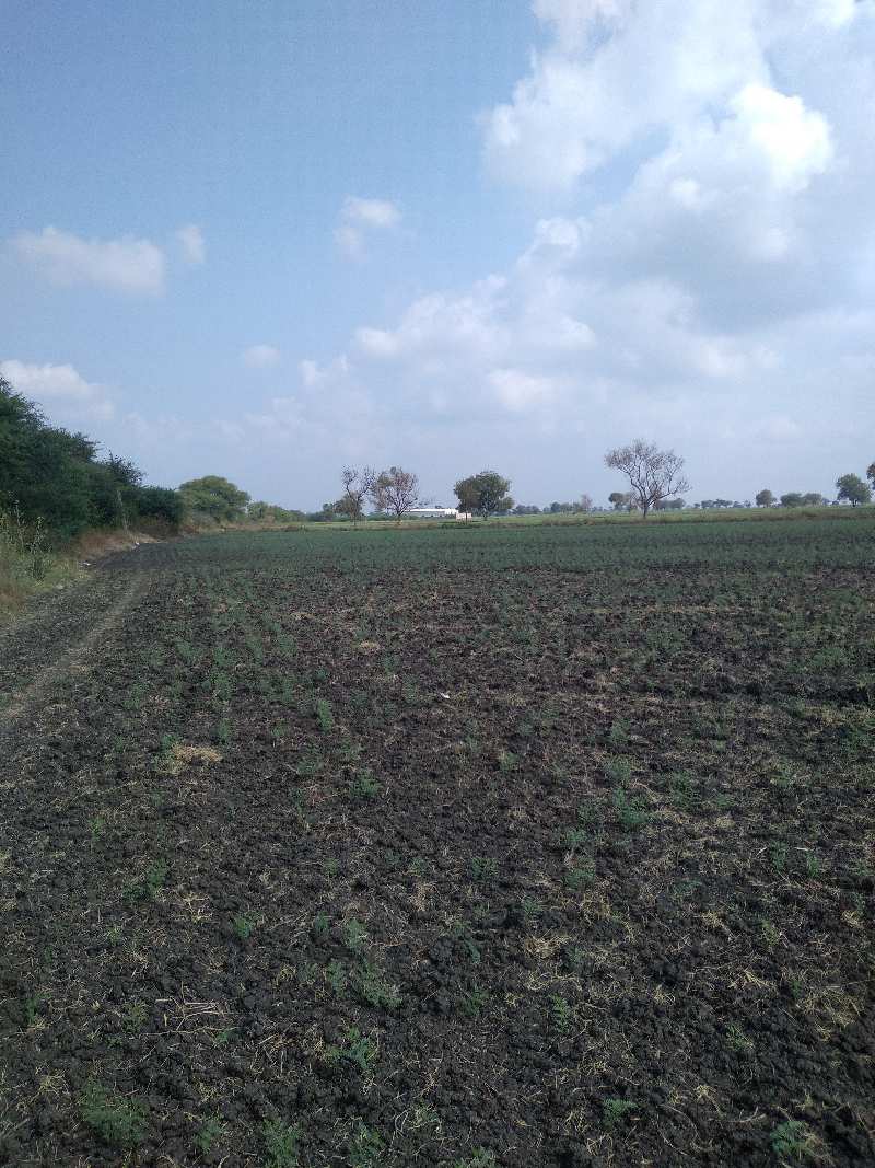 4 Acre Agricultural/Farm Land for Sale in Sulla Road, Hubli