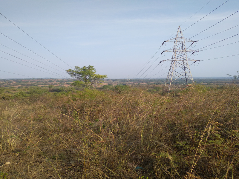 7 Acre Agricultural/Farm Land for Sale in Karnataka