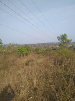 7 Acre Agricultural/Farm Land for Sale in Karnataka
