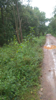 FARM LAND IN NUGGIKERI  DHARWAD