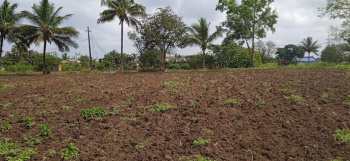 WARE HOUSE / LOGISTICS LAND AVAILABLE ON BTS