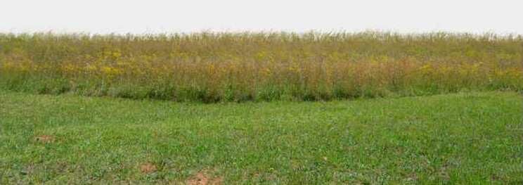 10600 Sq. Yards Industrial Land / Plot for Sale in Pirana Road, Ahmedabad