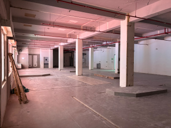 Showrooms for Rent in Park Street, Kolkata (9100 Sq.ft.)