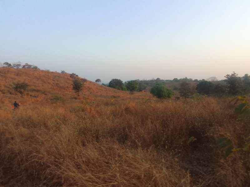 Semi Developed Farm land For Sale In Dapoli