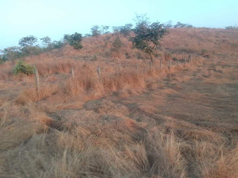 Semi Developed Farm land For Sale In Dapoli