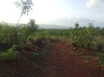 Road Touch Agricultural Land For Sale In Dapoli