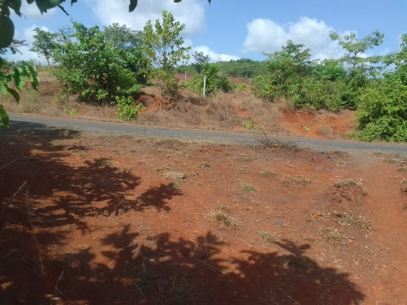 Road Touch Agricultural Land For Sale In Dapoli
