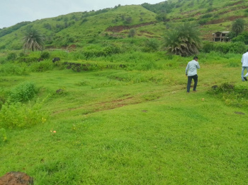 Road Touch 4 Acre Agricultural Farmland For Sale In Mandangad