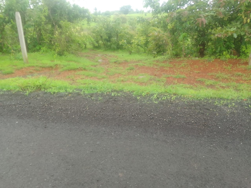 4 Acre Road Side Land For Sale In Mandangad